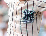 「【高校野球】来年度から生徒募集停止→２９年春閉校　昨夏Ｖの東大阪大柏原、冷や汗逆転で４回戦へ」の画像1