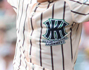 【高校野球】来年度から生徒募集停止→２９年春閉校　昨夏Ｖの東大阪大柏原、冷や汗逆転で４回戦へ