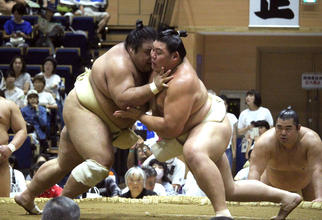 大の里、視察の師匠の前で１１番「左がうまく使えていた。悪くないと思う」