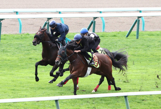 【札幌２歳Ｓ】フライトライン産駒の“大物候補”ショウナンガレオン　最終追い切りでも脚力の違い発揮　唯一の不安要素は…