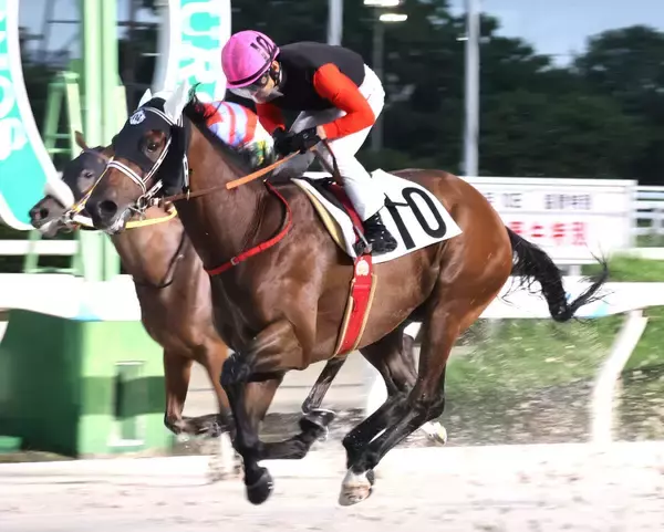 フォーエバーヤングが制した新馬戦の１番人気馬が園田７Ｒで快勝　重賞５勝馬の孫ベラジオラオウ　不良馬場で２馬身差をつける