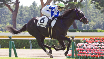 【アイビーＳ・１週前】美浦の秘密兵器コラリオンが上々の動き　「この時計ですからね...」伊坂調教師も納得