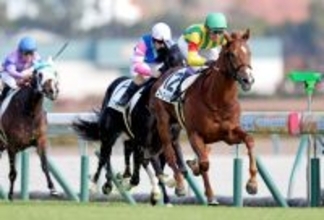 【中京５Ｒ・２歳新馬】５番人気ゴーゴーリチャードが２番手から抜け出す　武豊騎手「いいスピードを持っている」