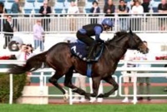 【香港マイル】ソウルラッシュは引退レースへ攻めの追い切りで抜かりなし　池江調教師「皆さんに喜んでもらえるように」