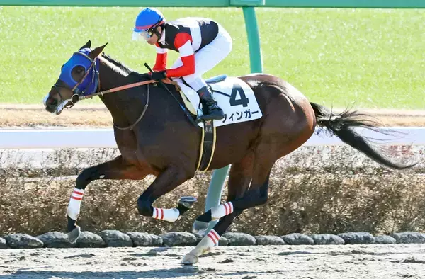 【注目馬動向】大差圧勝で初白星を挙げたフィンガーはブルーバードＣへ　重賞に初挑戦