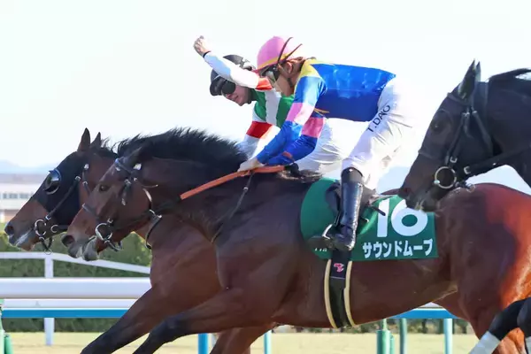 【シンザン記念】やった！ハマーハンセン騎手ＪＲＡ重賞初勝利「皆様に感謝」９番人気サンダーストラックＶ導く