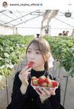 「「いちごかと思ったら、、」とき宣・辻野かなみ、仲良しメンバーといちご狩り！「可愛すぎて幸せ」「好きすぎる！」」の画像1