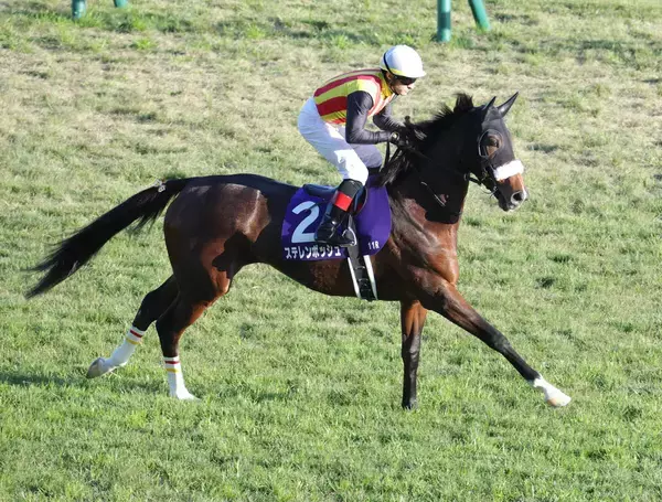 ２４年桜花賞馬ステレンボッシュが国枝厩舎から宮田厩舎に転厩