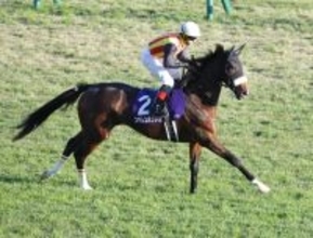 ２４年桜花賞馬ステレンボッシュが国枝厩舎から宮田厩舎に転厩