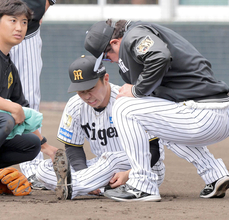 【阪神】石井大智、ＷＢＣ出場に暗雲…紅白戦で左ふくらはぎ痛め車いすで球場後に　岡田彰布オーナー付顧問も「だいぶ心配やん」