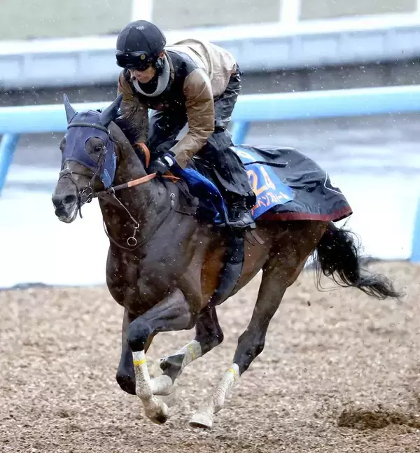 【中山記念・特選有力馬チェック】レーベンスティールは買うべき？　前走はマイル戦で１２着
