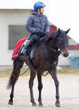 「【スプリングＳ・山下の特注馬】岩田康誠騎手の手綱さばきに注目　アスクエジンバラが皐月賞へ」の画像1