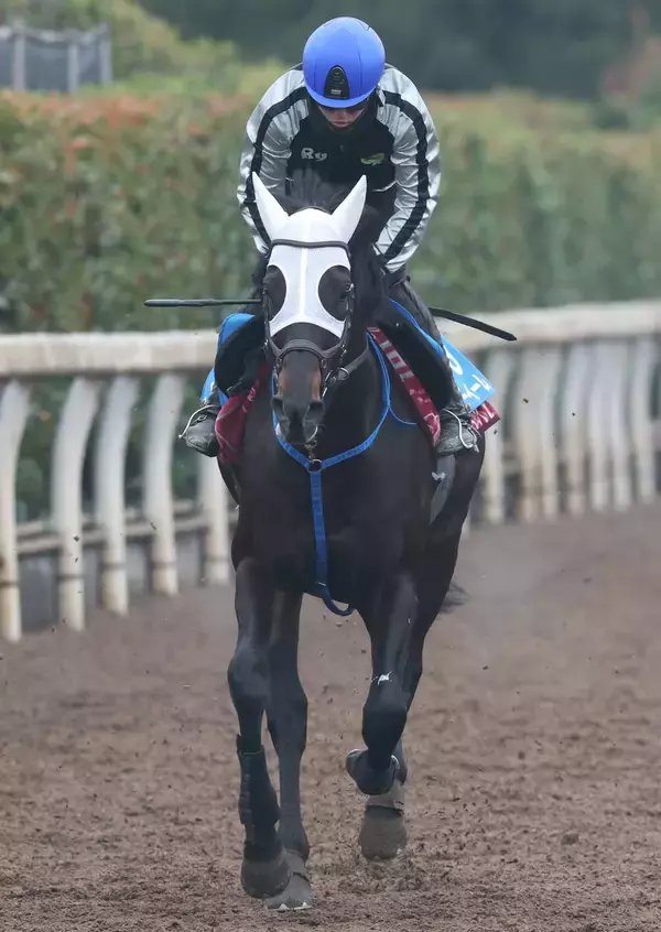 【阪神スプリングＪ】「巻き返したい」Ｊ・Ｇ２初勝利を狙う小牧加矢太騎手　ネビーイームと打倒エコロデュエルだ　