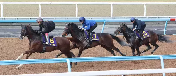 【皐月賞】３本の矢追い切りでグリーンエナジーがＧ１仕様の渾身仕上げ　上原佑調教師「勝ちに行く」