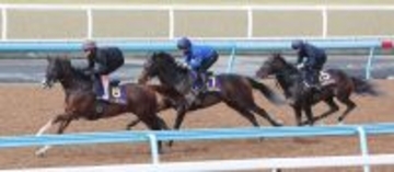 【皐月賞】３本の矢追い切りでグリーンエナジーがＧ１仕様の渾身仕上げ　上原佑調教師「勝ちに行く」