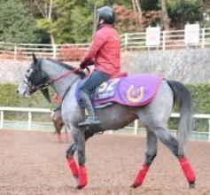 【青葉賞】芦毛のノチェセラーダがダービーの権利を取る！　杉山佳調教師「持久力を生かせる展開になれば」