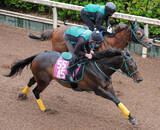 「【フローラＳ】リアライズルミナス雨も苦にせず軽快　橋口調教師「引っ張ったままでゴール」松山弘平騎手も期待大」の画像1