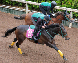 【フローラＳ】リアライズルミナス雨も苦にせず軽快　橋口調教師「引っ張ったままでゴール」松山弘平騎手も期待大