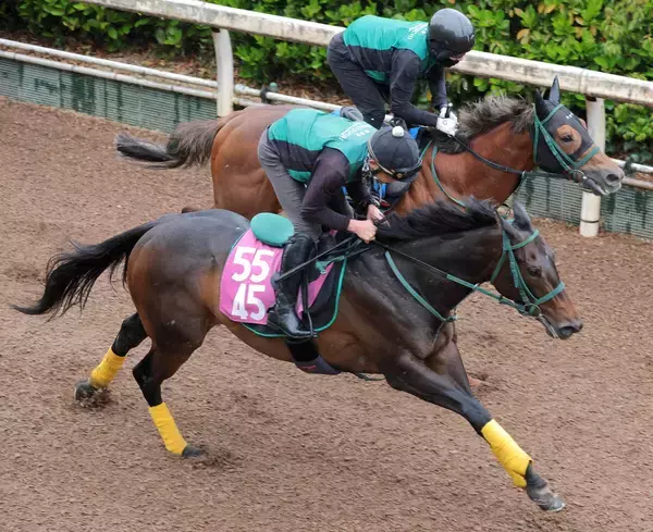 【フローラＳ】リアライズルミナス雨も苦にせず軽快　橋口調教師「引っ張ったままでゴール」松山弘平騎手も期待大