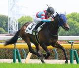 「【東京５Ｒ・３歳未勝利】良血馬を撃破！リラが１馬身半差で初白星　「まだ余力もある」佐々木大輔騎手は飛躍期待」の画像1