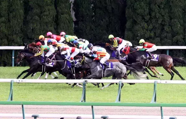 【ＮＨＫマイルＣ】昨年は３連単１５０万円超＆０７年には９７０万円超が飛び出した荒れるレース　狙い馬は？好調馬トク記者が指南！