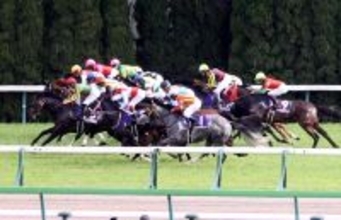 【ＮＨＫマイルＣ】昨年は３連単１５０万円超＆０７年には９７０万円超が飛び出した荒れるレース　狙い馬は？好調馬トク記者が指南！