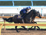 「【日本ダービー・１週前】報知杯弥生賞馬バステールは徐々に良化　斉藤崇調教師「さらに良くなってくれたら」」の画像1