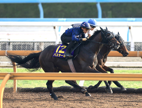 【日本ダービー・１週前】報知杯弥生賞馬バステールは徐々に良化　斉藤崇調教師「さらに良くなってくれたら」