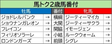 【馬トク２歳馬番付】意外な牝馬が能力指数で異例の数値を算出！　牡馬は好調の新種牡馬エフフォーリア産駒に高評価