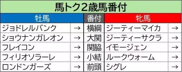 【馬トク２歳馬番付】意外な牝馬が能力指数で異例の数値を算出！　牡馬は好調の新種牡馬エフフォーリア産駒に高評価
