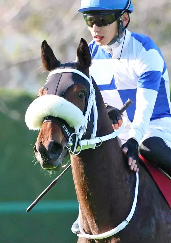 【注目馬動向】佐賀で重賞７勝のサキドリトッケンはスポーツ報知杯ロータスクラウン賞が秋の最大目標　２冠奪取を目指す