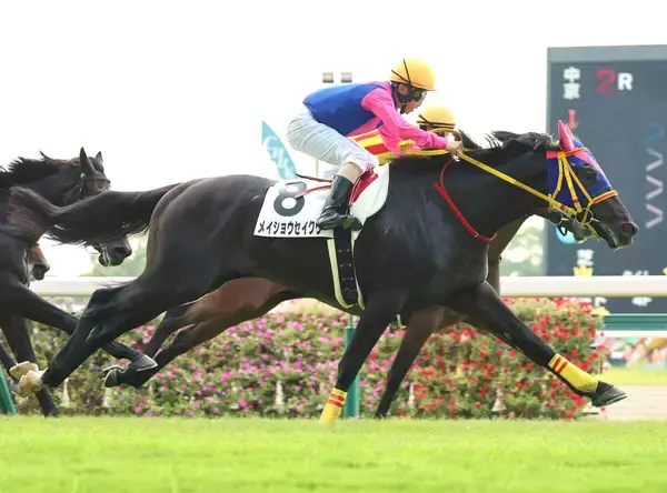 【中京２Ｒ・２歳新馬】メイショウセイクウが大外一気の豪快差し切り　松若風馬騎手「ポテンシャルは感じました」