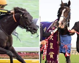 【天皇賞・秋】クロワデュノールとマスカレードボールが最高値…プレレーティング発表