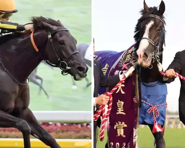 【天皇賞・秋】クロワデュノールとマスカレードボールが最高値…プレレーティング発表