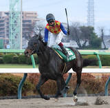 「【カペラＳ】５馬身差圧倒！テーオーエルビス４連勝で重賞初制覇　鮫島克駿騎手「どこからでも突き抜けたと思う」」の画像1