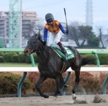 【カペラＳ】５馬身差で圧倒！３歳馬テーオーエルビス４連勝で重賞初制覇　ダート１２００メートルは５戦無敗