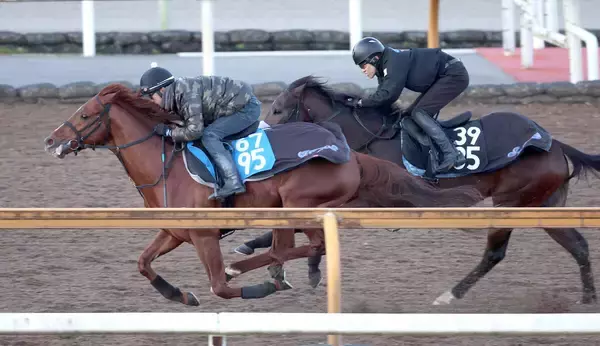 【京都金杯】ビップデイジーとリラボニートが回避　ガイアメンテが繰り上がり