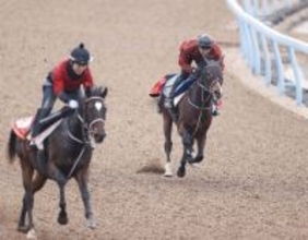 【ダイヤモンドＳ・１週前】長距離で飛躍狙うマイネルカンパーナ　青木調教師「トップスピードを維持する力で勝負」