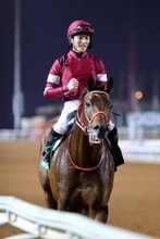 フォーエバーヤングは１６日にドバイへ　招待が届いた僚馬アメリカンステージと移動　シンエンペラーは帰国