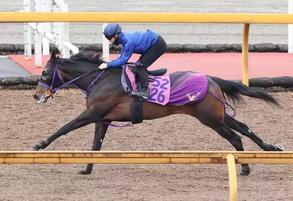 【報知杯ＦＲ】得意距離で桜切符つかむ！関東馬サンアントワーヌが滞在中の栗東で好調教　荻野極騎手「具合の良さ...」