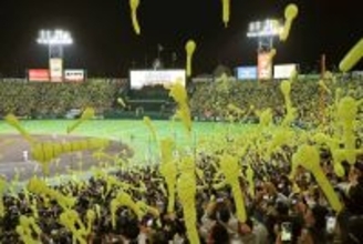 【阪神】甲子園の空が緑色に染まる！？　６月５日からの楽天３連戦で特別仕様のジェット風船を販売