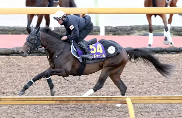 【ＮＨＫマイルＣ・１週前】アンドゥーリルはしまい重点で１１秒８　陣営「引き続きレースでは折り合いが課題」