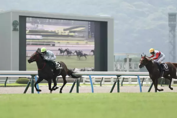 【小倉１１Ｒ・テレＱ杯】１番人気のコウセキが得意の小倉で巻き返して快勝　松山弘平騎手「行く形を選択しました」