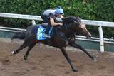 「日曜中京競馬場の注目激走馬…中京７Ｒ東海ステークス・Ｇ３」の画像1