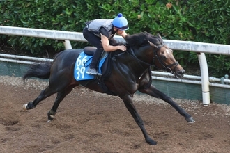 日曜中京競馬場の注目激走馬…中京７Ｒ東海ステークス・Ｇ３