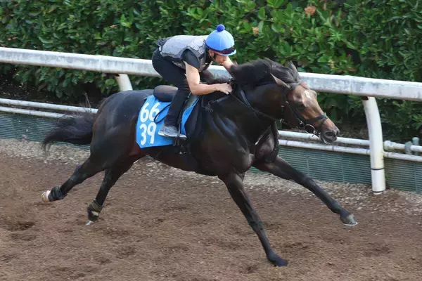 日曜中京競馬場の注目激走馬…中京７Ｒ東海ステークス・Ｇ３