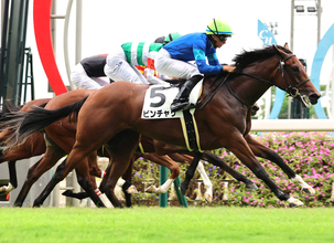【中京３Ｒ・２歳新馬】ビンチャリが半馬身差の完勝　岩田望来騎手「差してからは楽でした」　バーイード産駒初戦のインティサールは２着