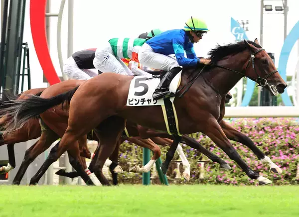 【中京３Ｒ・２歳新馬】ビンチャリが半馬身差の完勝　岩田望来騎手「差してからは楽でした」　バーイード産駒初戦のインティサールは２着