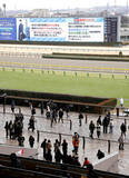 「ＪＲＡが１１月３０日の月曜に東京競馬場で「再編競馬」全１２競走を実施　９Ｒにベゴニア賞　１１Ｒに初冬Ｓ」の画像1