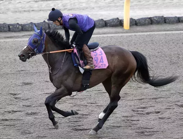 【紫苑Ｓ】右回りでまた勝てず…１番人気ドリームコアは３着　「苦しくなりました」ルメール騎手　「敗因は明白です」田中博調教師